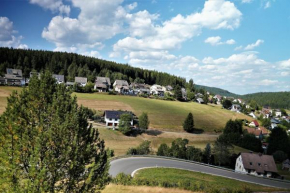 Schwarzwaldblick